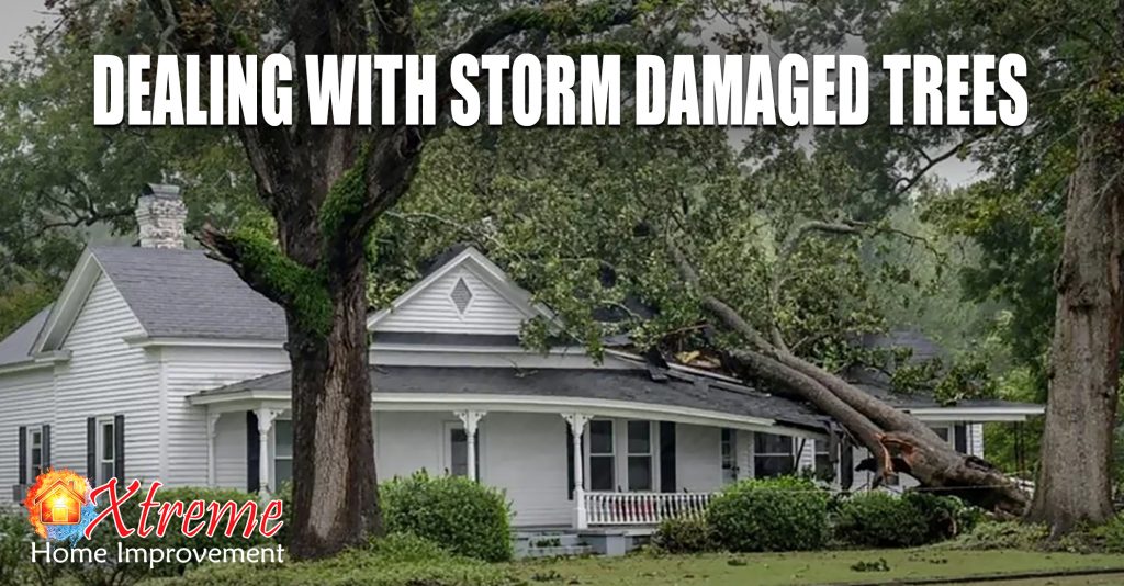 Dealing With Storm Damaged Trees