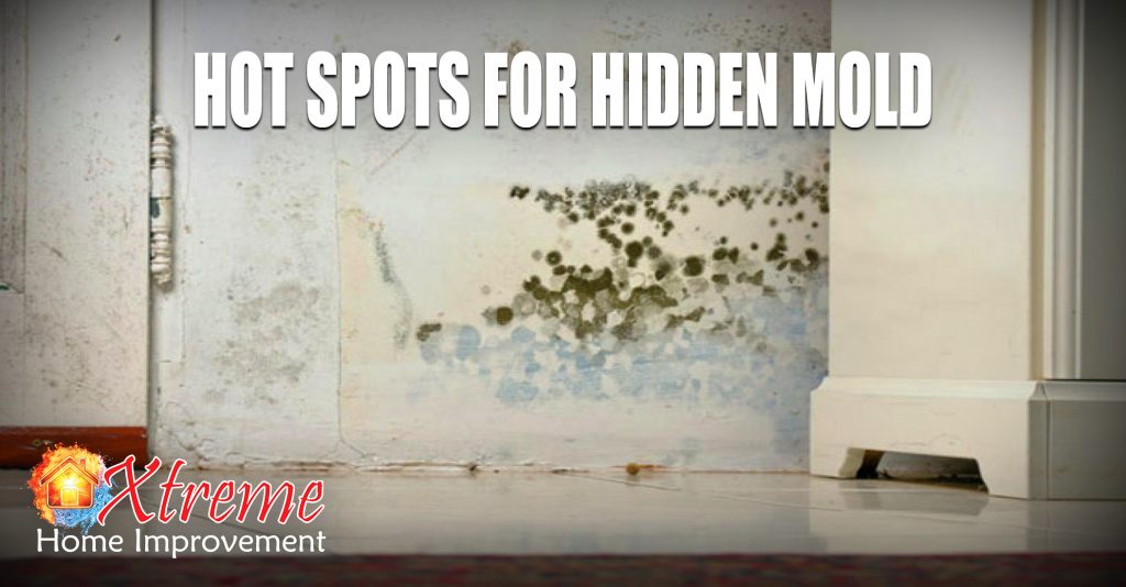 Hot Spots For Hidden Mold