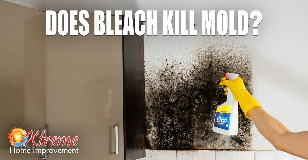 Does Bleach Kill Mold