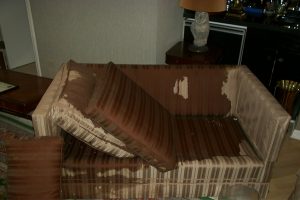 Water Damage - Upholstered Furniture
