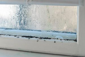 What you need to know about Mold