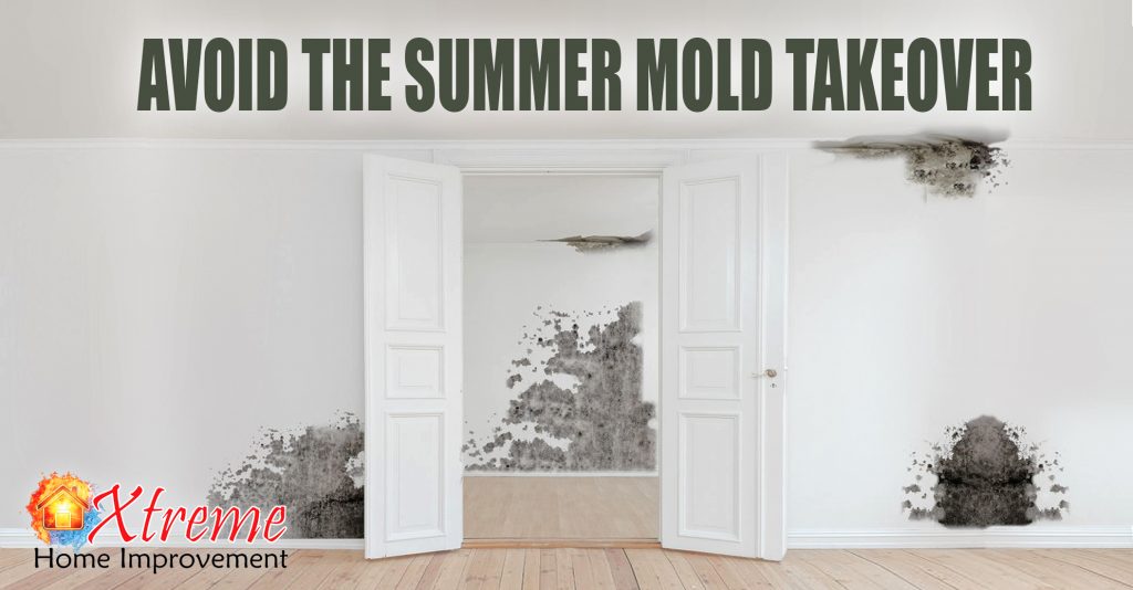 Avoid the Summer Mold Takeover