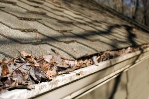 Clean Out the Gutters and Downspouts