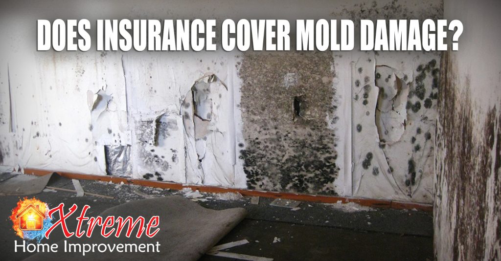 Does Homeowner’s Insurance Cover Mold Damage