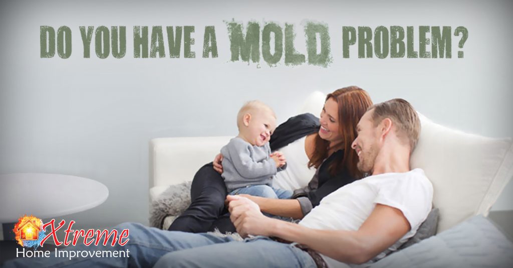 Do You Have A Mold Problem - Xtreme