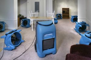 The Drying and Dehumidification Process