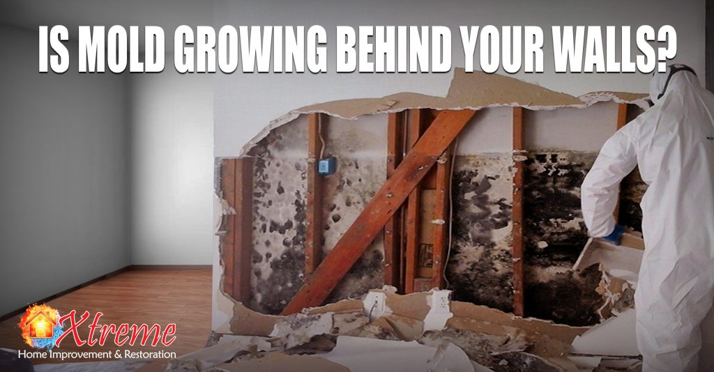 Is Mold Growing Behind Your Walls