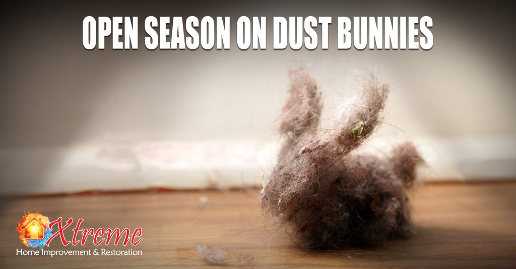 Open Season on Dust Bunnies