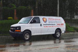 Get Help From the Hurricane Damage Experts